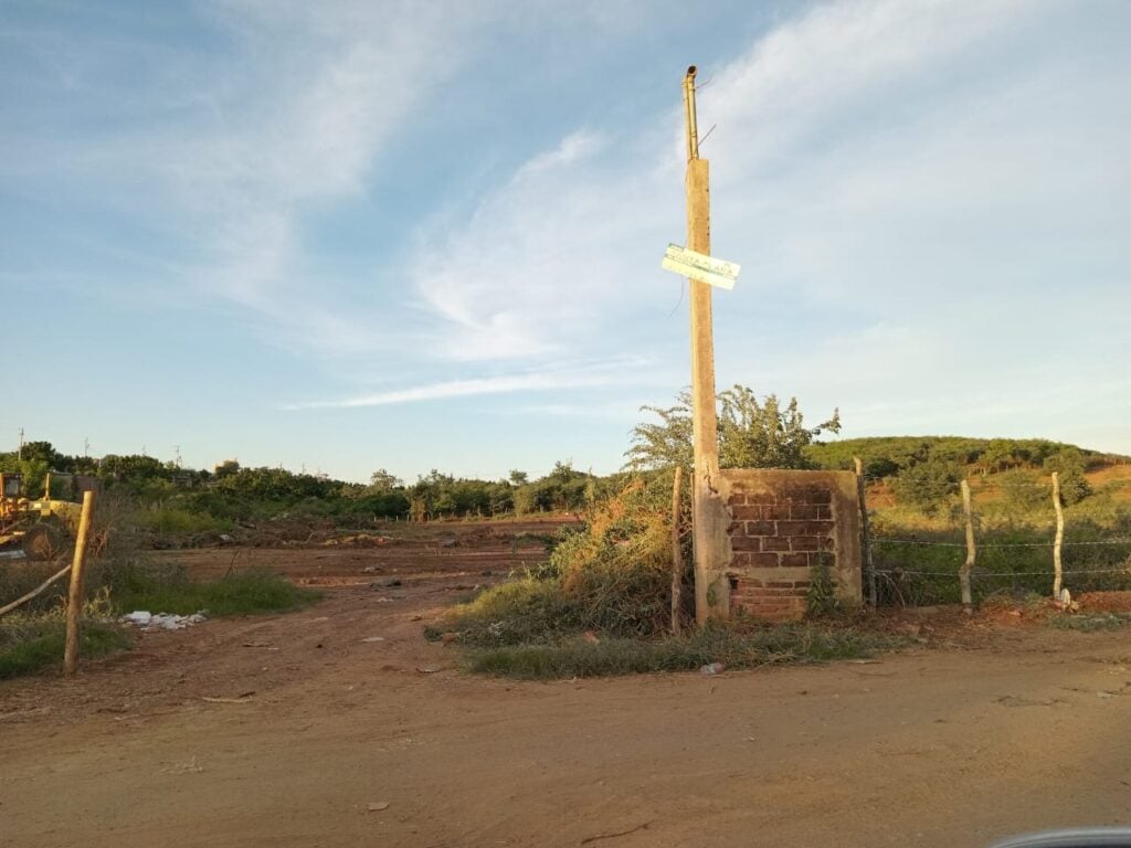 Terreno donde las personas fueron picadas por las abejas