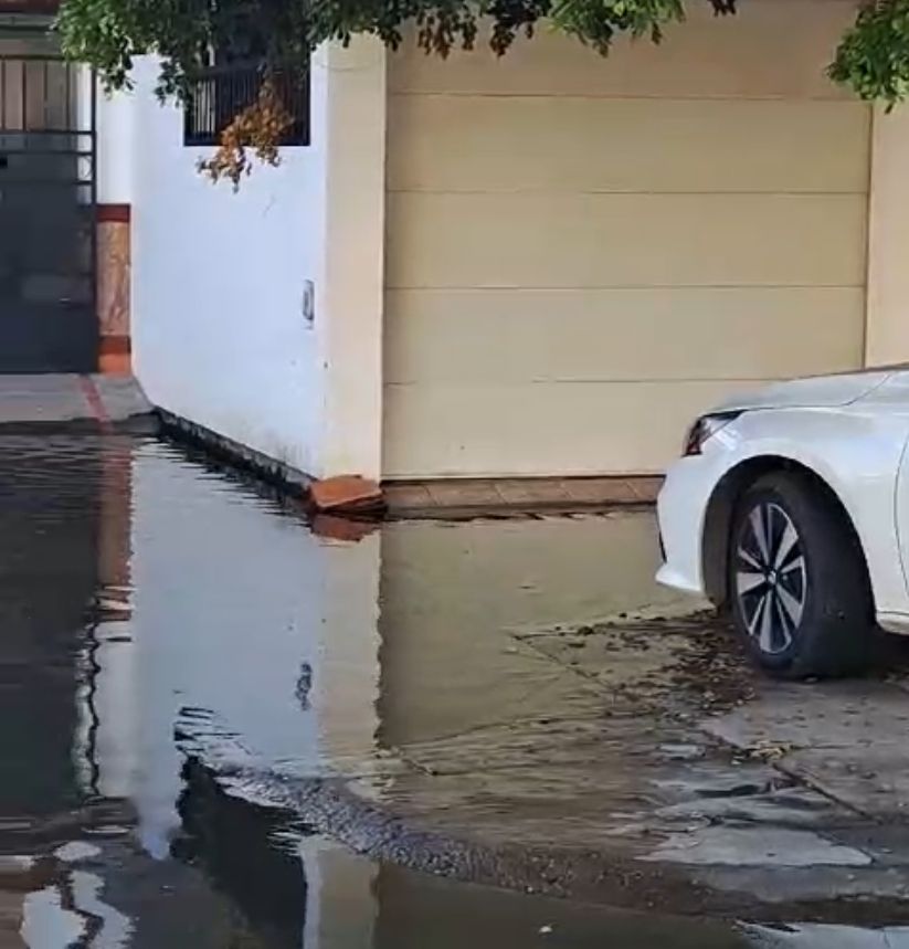 Aguas negras en el fraccionamiento Fovissste 2 en Los Mochis