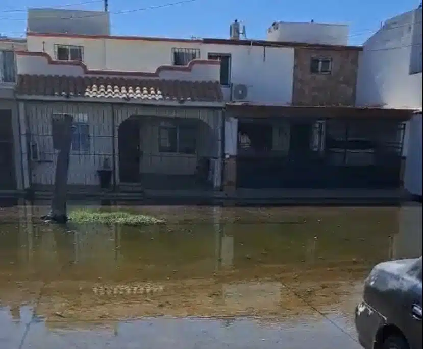 Aguas negras en el fraccionamiento Fovissste 2 en Los Mochis