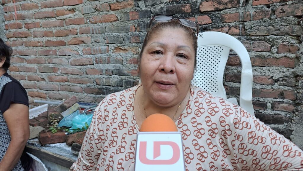 Artemisa Guadalupe Medina Astorga, representante de los vecinos del callejón