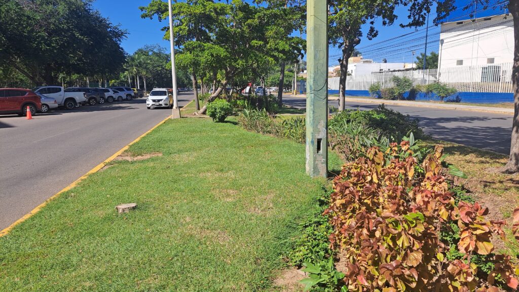 Calles de Mazatlán