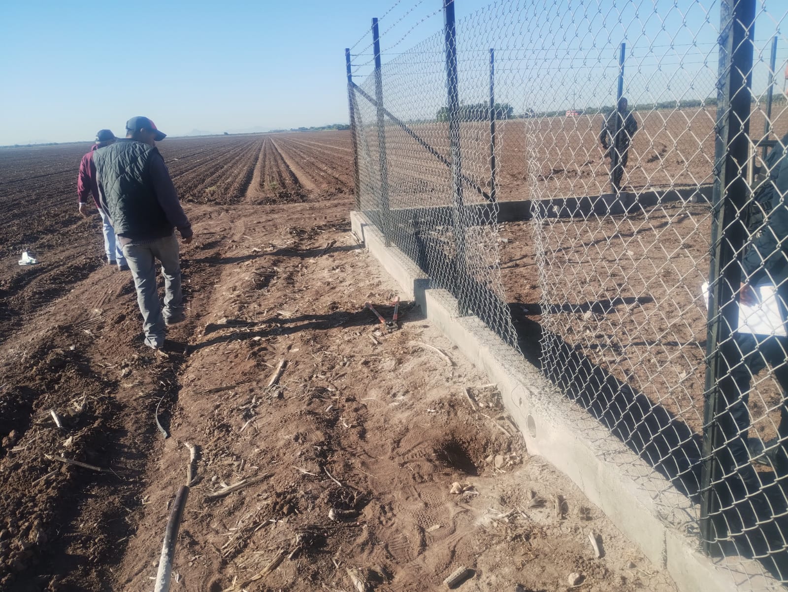 Roban en campo agrícola en Juan José Ríos