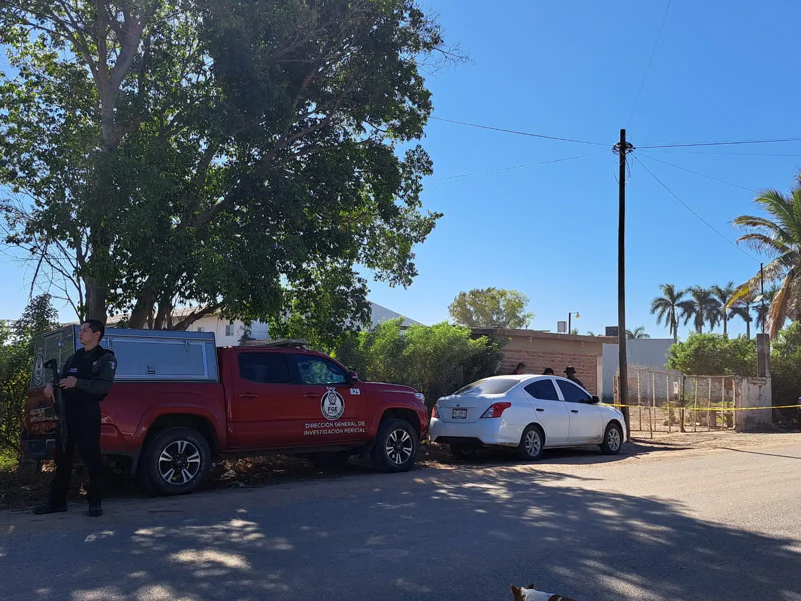 Cateos de la FGE en Guasave