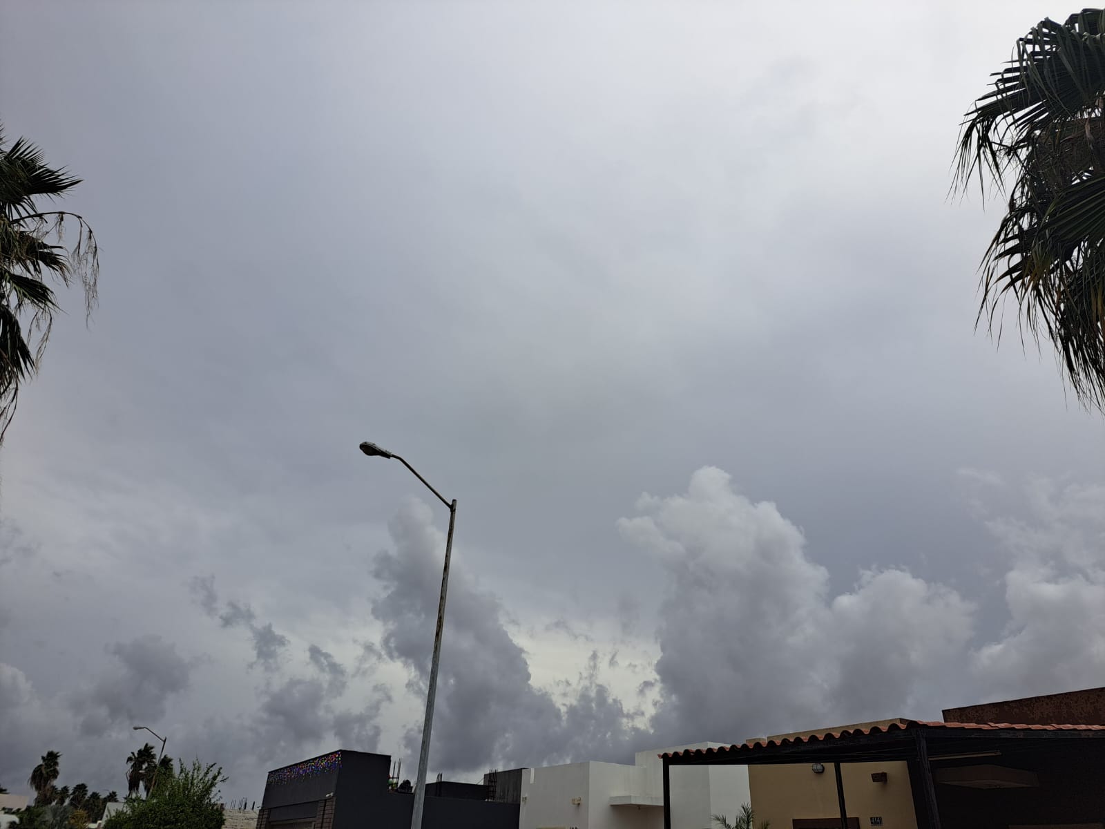 Cielo nublado con palmeras y una lámpara en el escenario