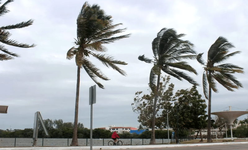 Pronóstico del clima en Tamaulipas