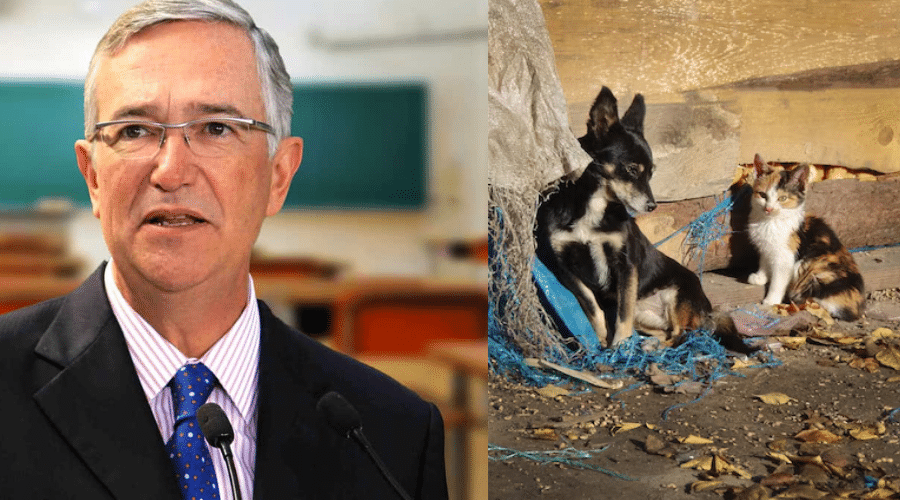 Ricardo Salinas y un perro y un gato