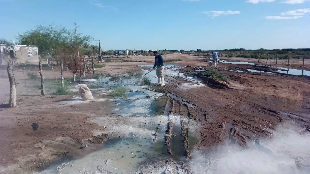 Persona fumigando aguas negras en Ahome