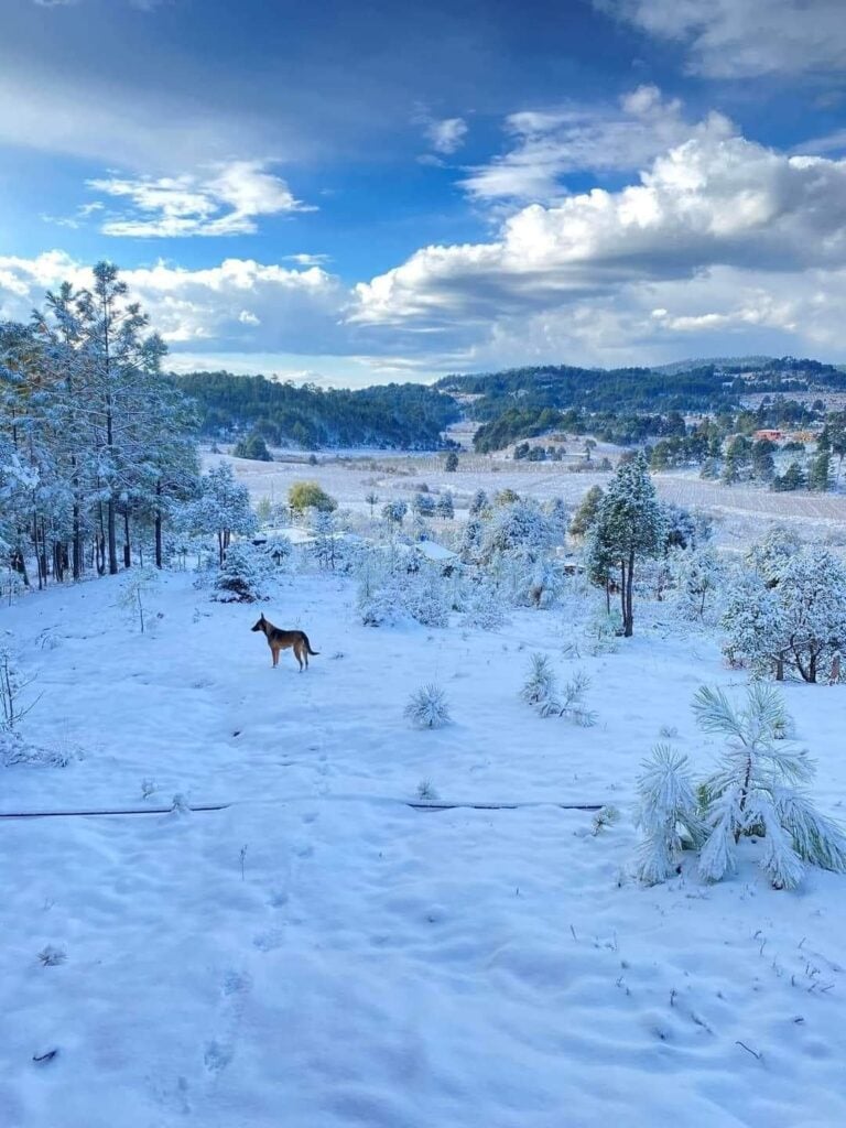 Nieve en El Durazno, Durango