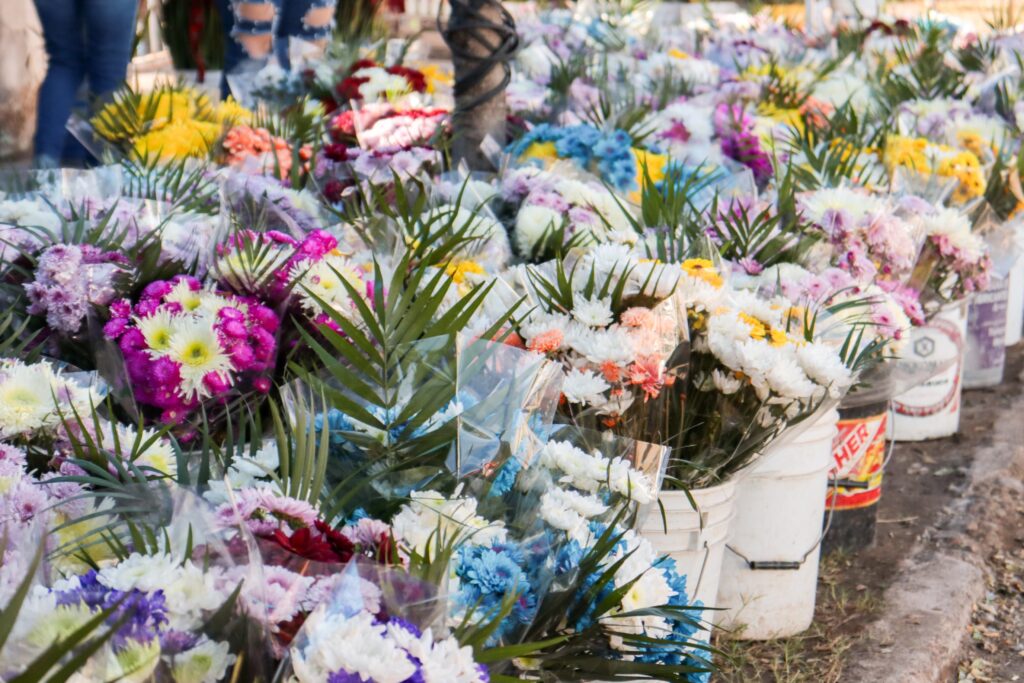 Flores a la venta en puestos en Ahome.