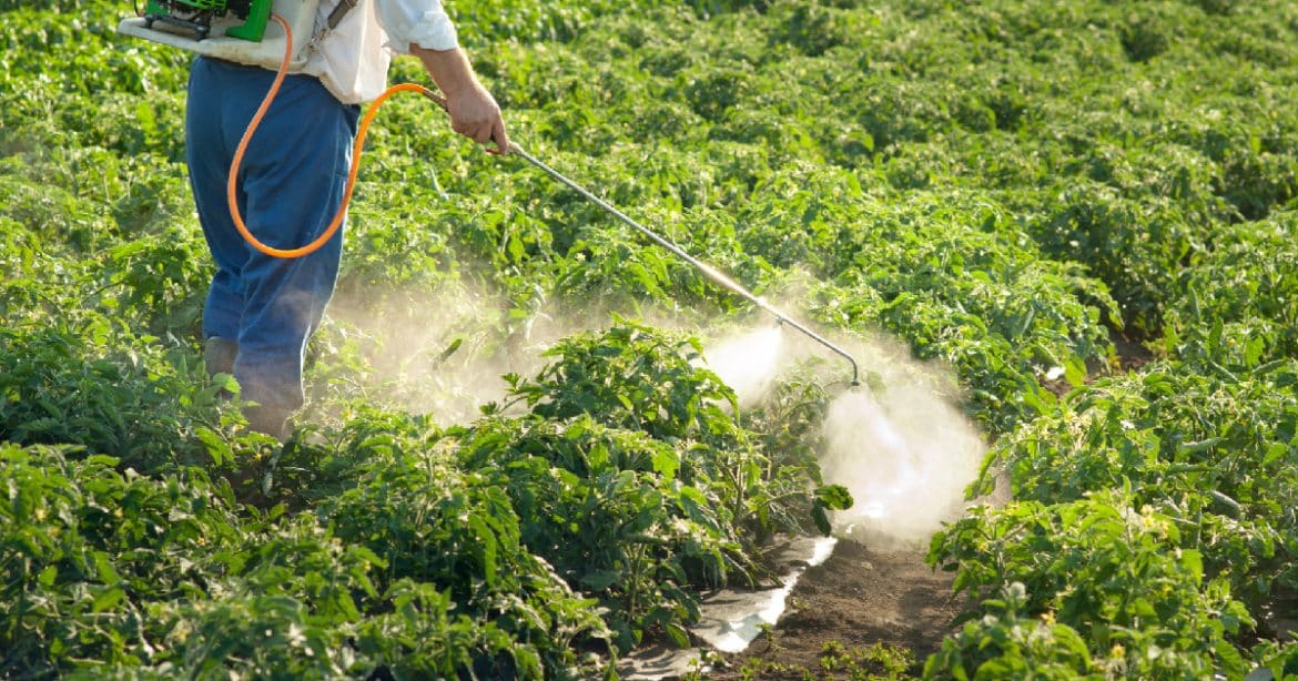 Persona trabajando en un campo agrícola