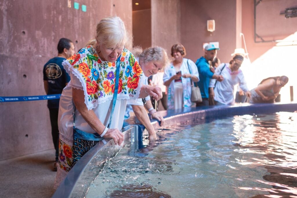 Turistas dentro de las instalaciones de El Gran Acuario Mazatlán