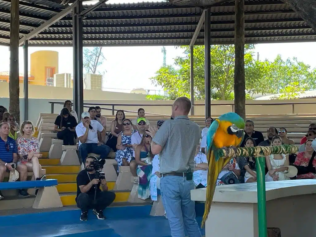 Turistas dentro de las instalaciones de El Gran Acuario Mazatlán