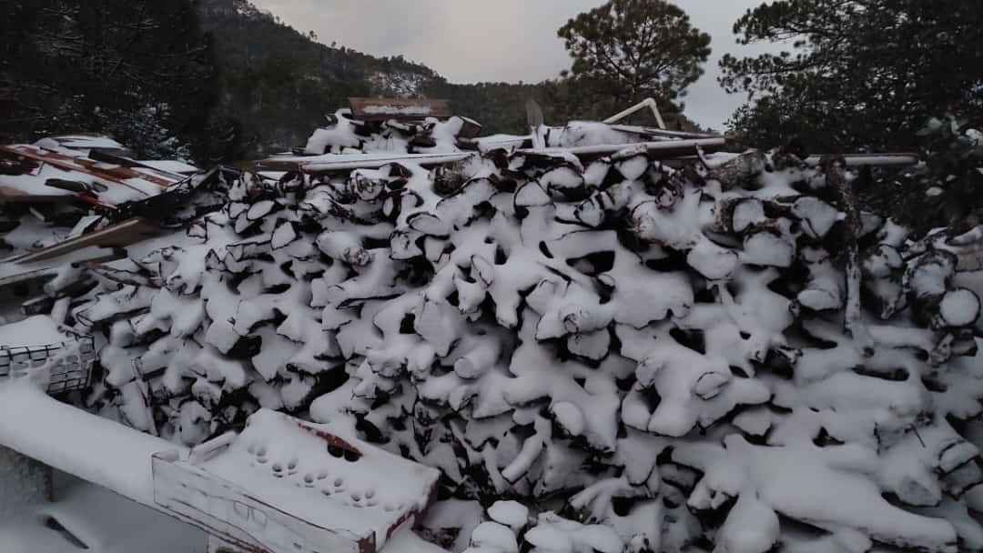 Nieve en Santa Gertrudis