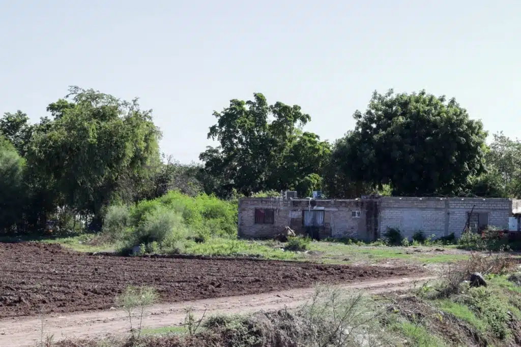 Intoxicación de agroquímicos en Ahome