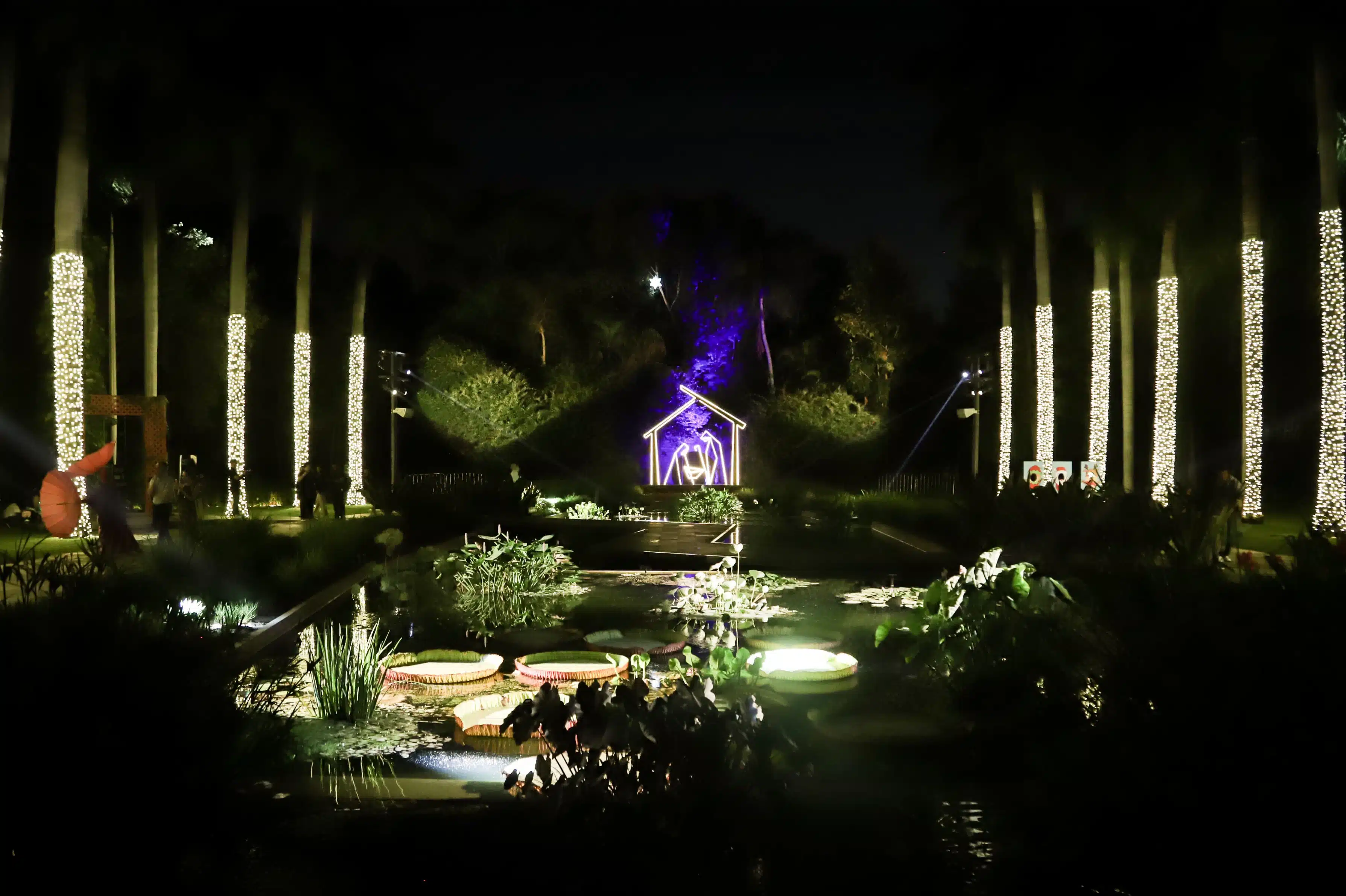 Jardín Botánico Culiacán de noche