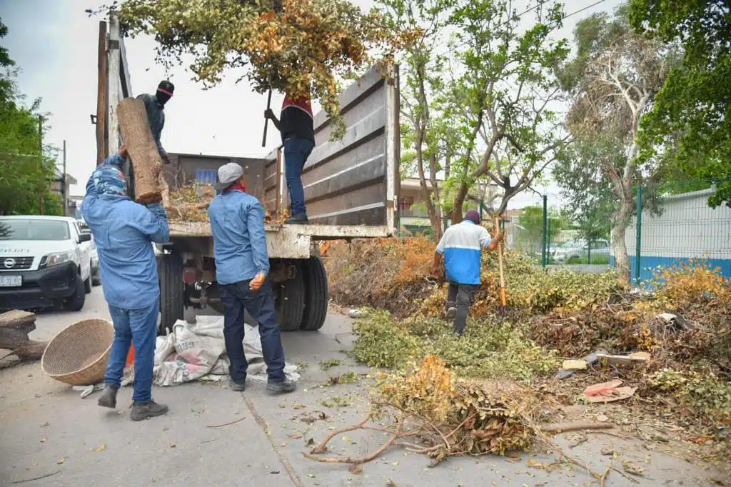 Limpieza en Los Mochis