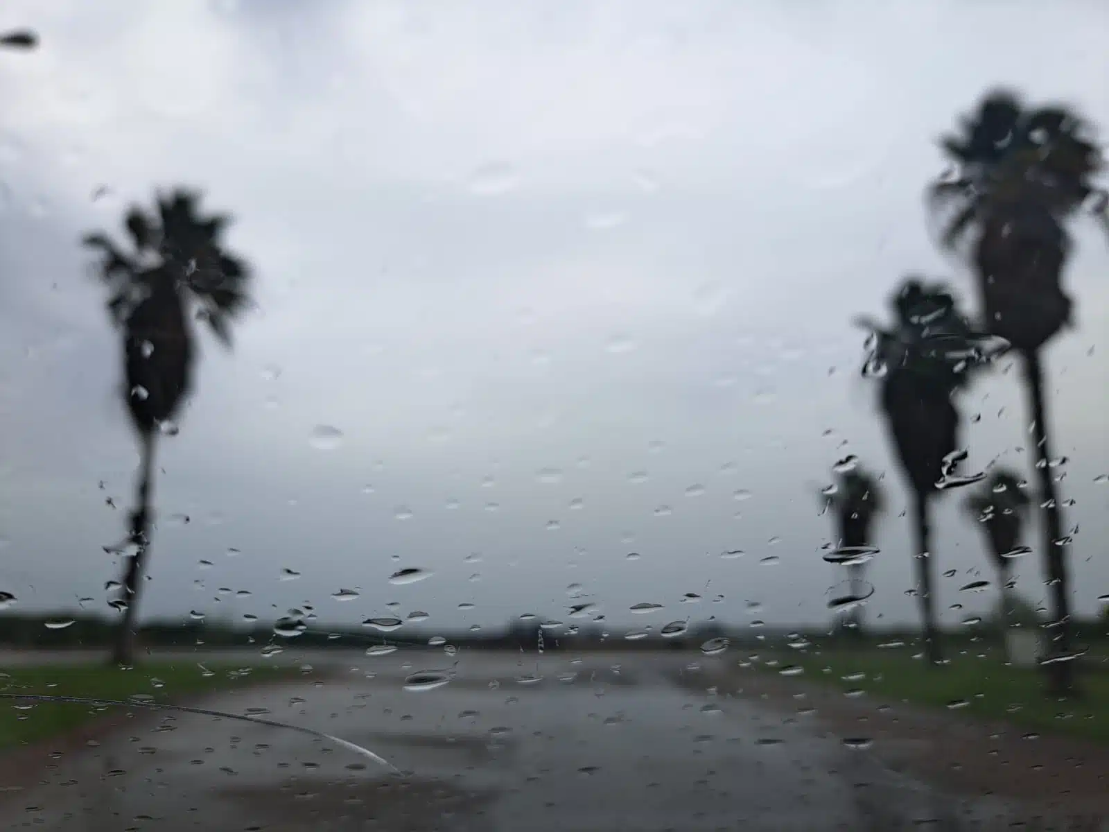 Cristal de un carro con gotas de lluvia. Se ve cielo nublado en una calle pavimentada rodeada de palmeras en Los Mochis
