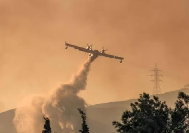 Mueren 3 personas tras impactarse avioneta en Australia; combatían incendio