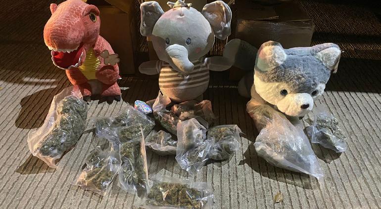 Peluches con mariguana decomisados en Sinaloa