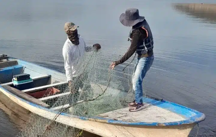 Pescadores de la presa El Varejonal reportan baja captura de mojarra