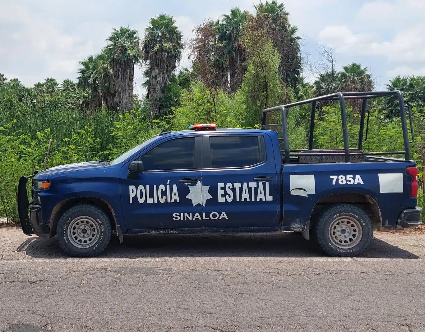 Camioneta de la policía estatal
