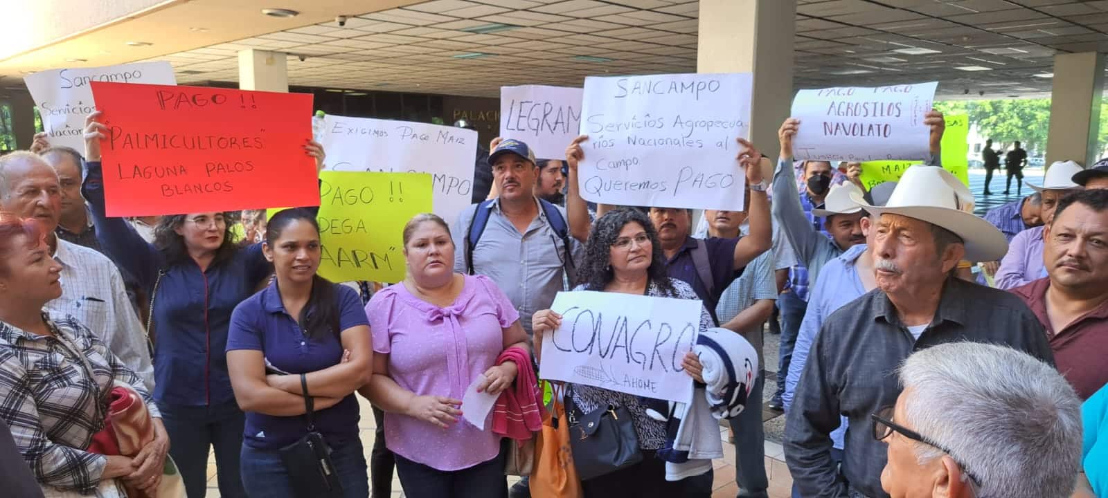 Productores agrícolas