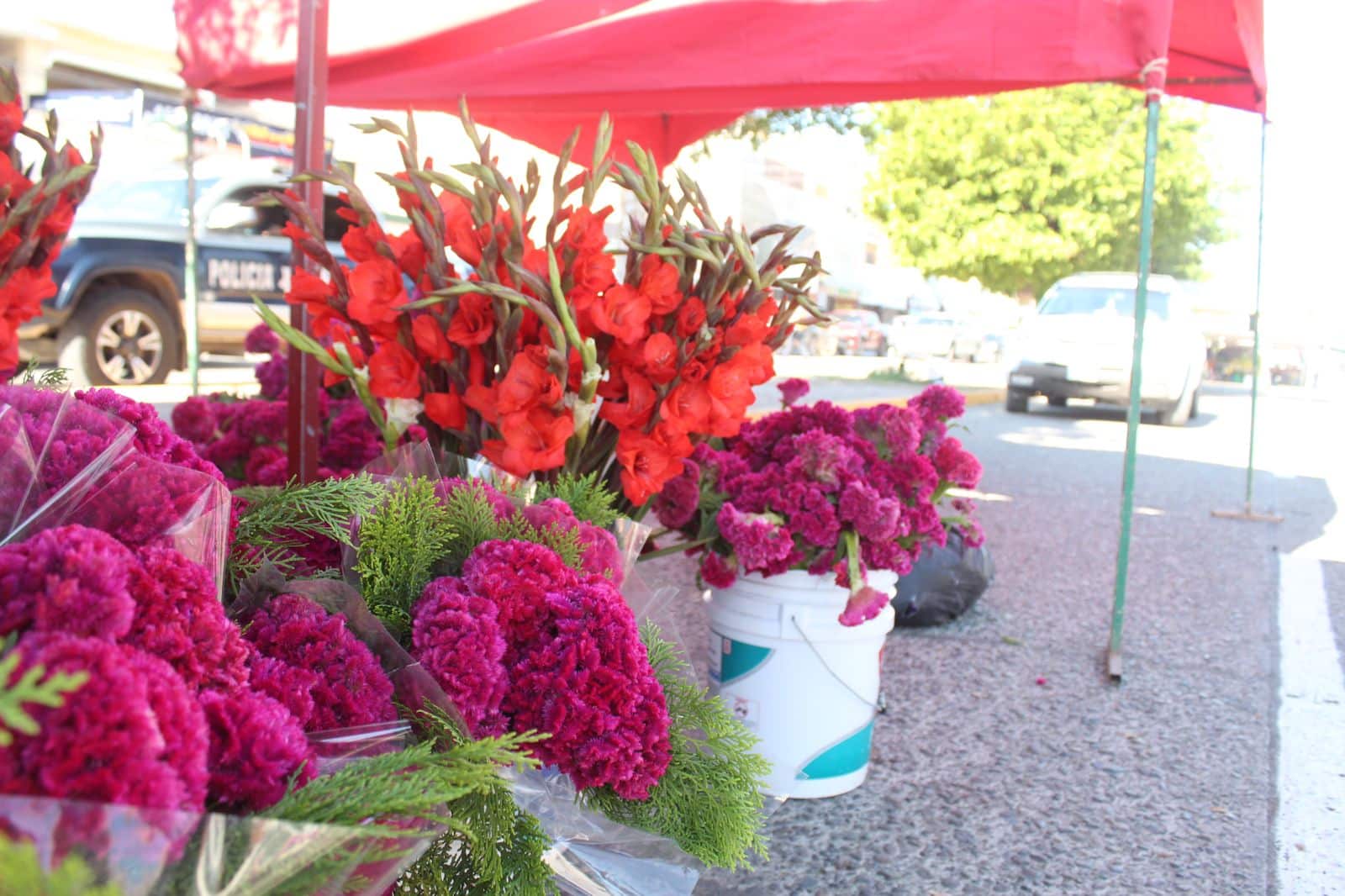 Flores a la venta por el día de muertos en Guasave.