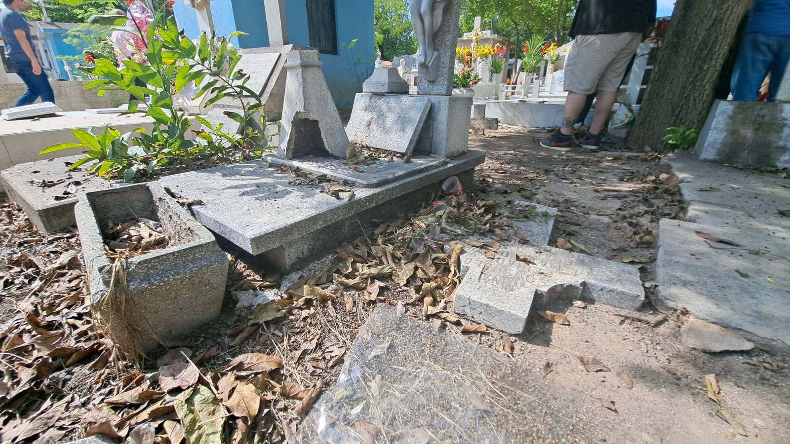 Tumbas en el olvido en panteón de Guasave.