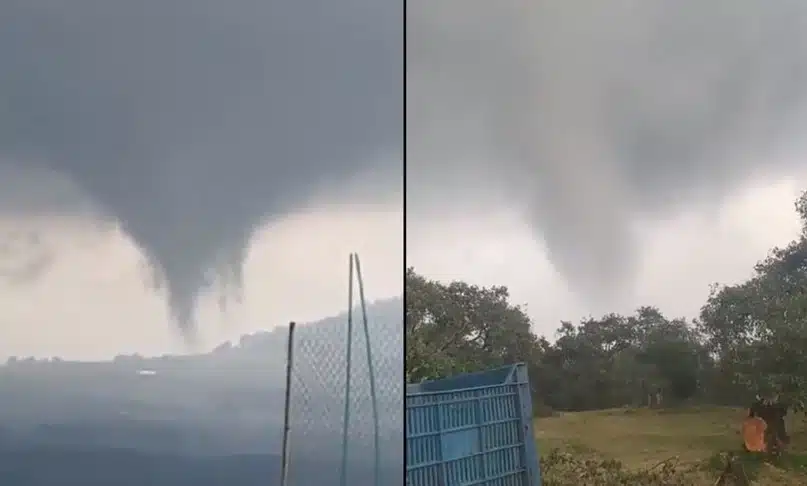 Tornado destruye huertas de aguacate en Michoacán
