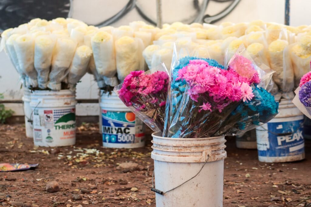 Flores para la venta del Día de muertos