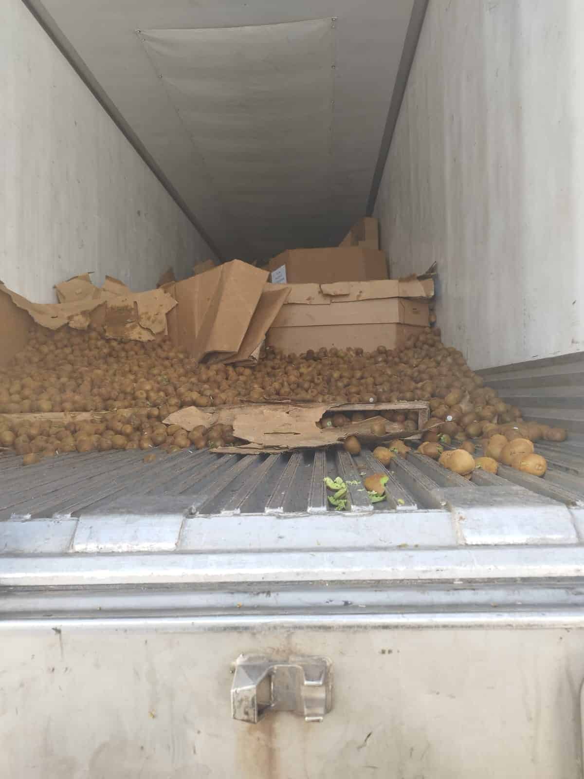 habitantes de la comunidad de Palmillas acudieron a la zona donde estaba el tráiler accidentado para abrirlo y empezar a llevarse las cajas que contenían los kiwis