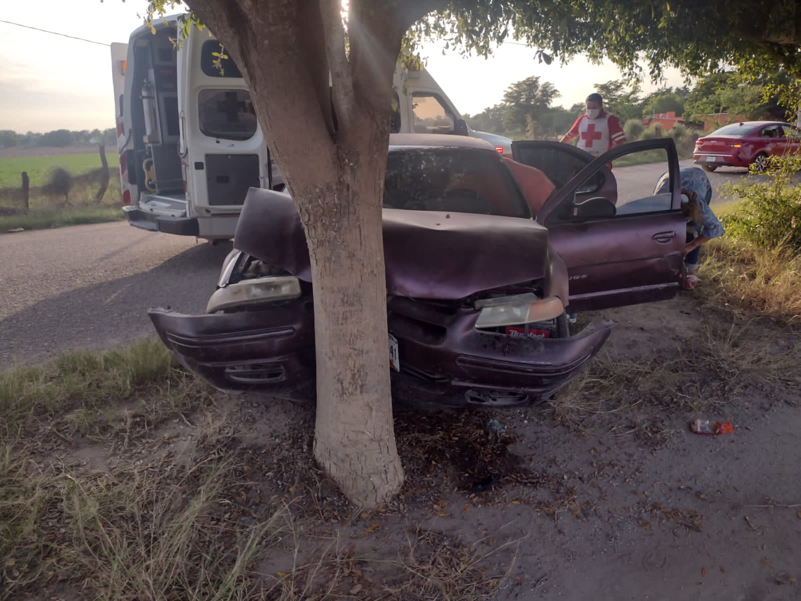 Choque de auto contra un árbol