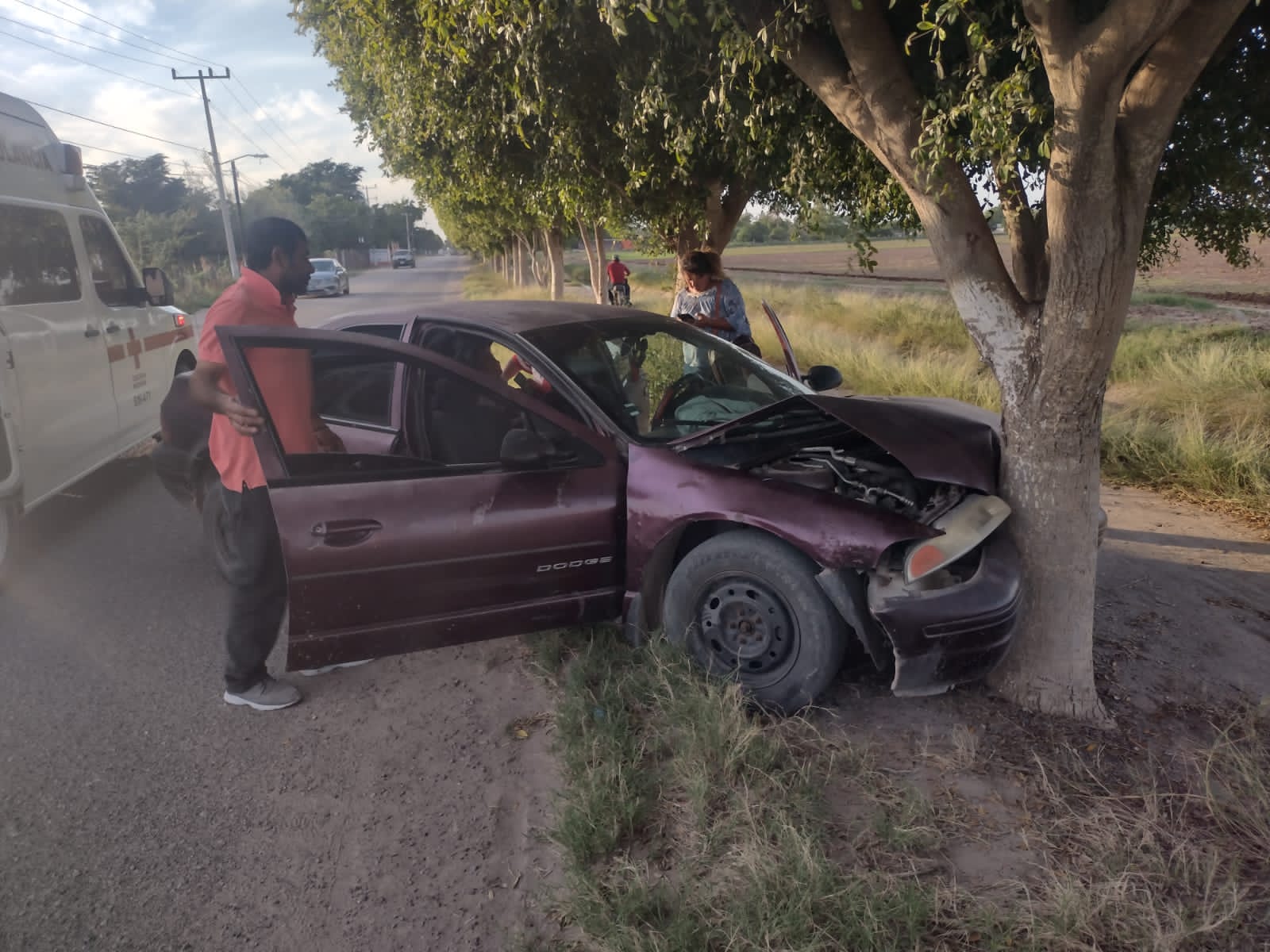 Choque de auto contra un árbol