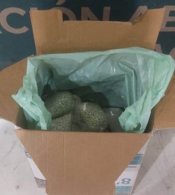 Aseguran más de 20 mil pastillas de fentanilo en Aeropuerto de Culiacán 