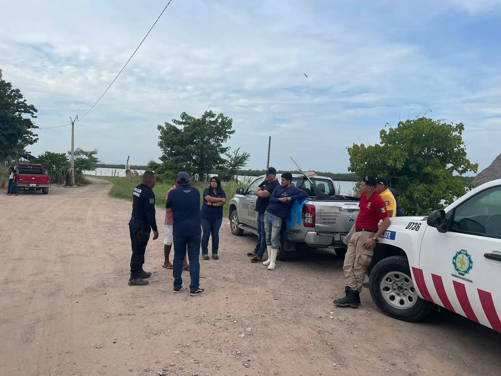 Rescatan a lobo marino de estero de Escuinapa y lo trasladan al Gran Acuario Mazatlán