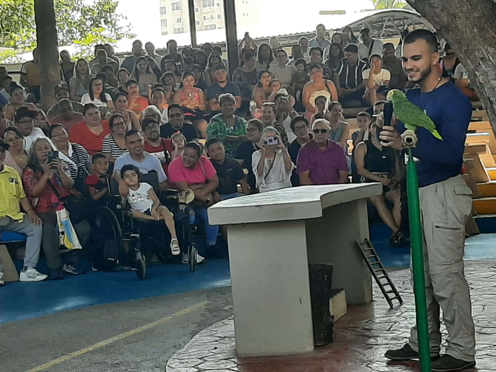 Hanna padece leucemia y su gran sueño era conocer el Gran Acuario Mazatlán Mar de Cortés