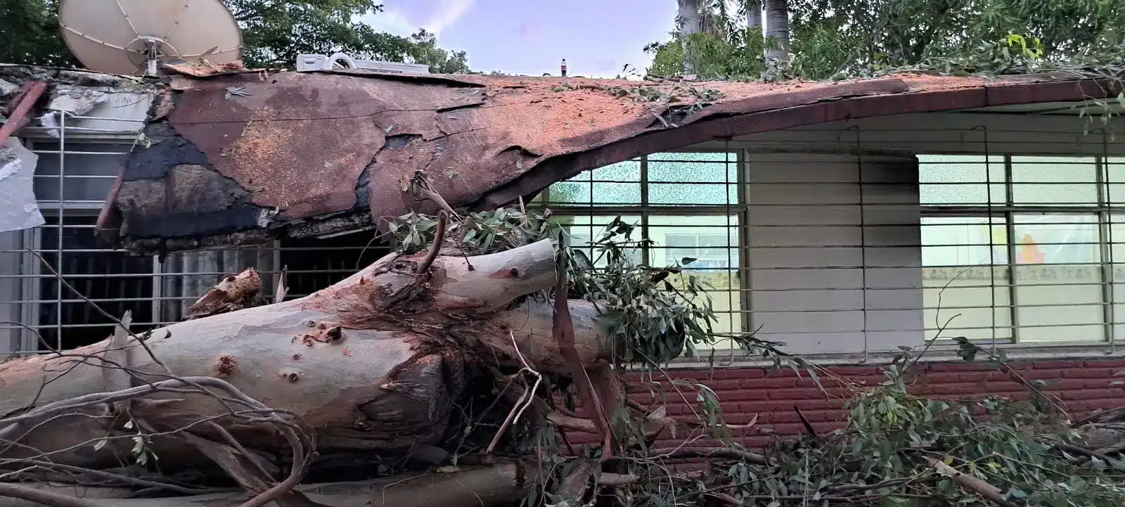 Planteles educativos afectados por el paso de la depresión tropical 