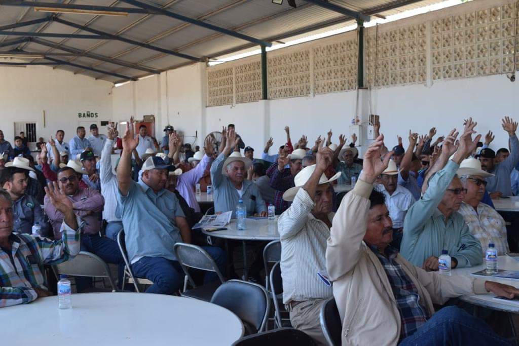 Asociación de Productores Agrícolas de Guasave
