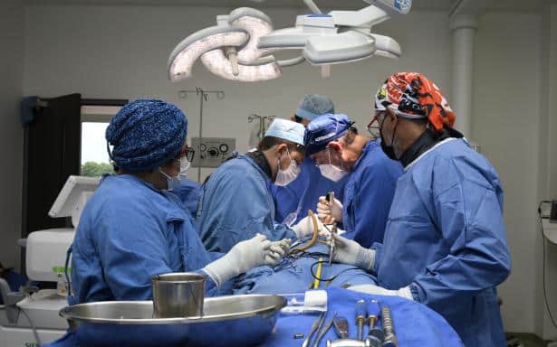 Donación de órganos IMSS