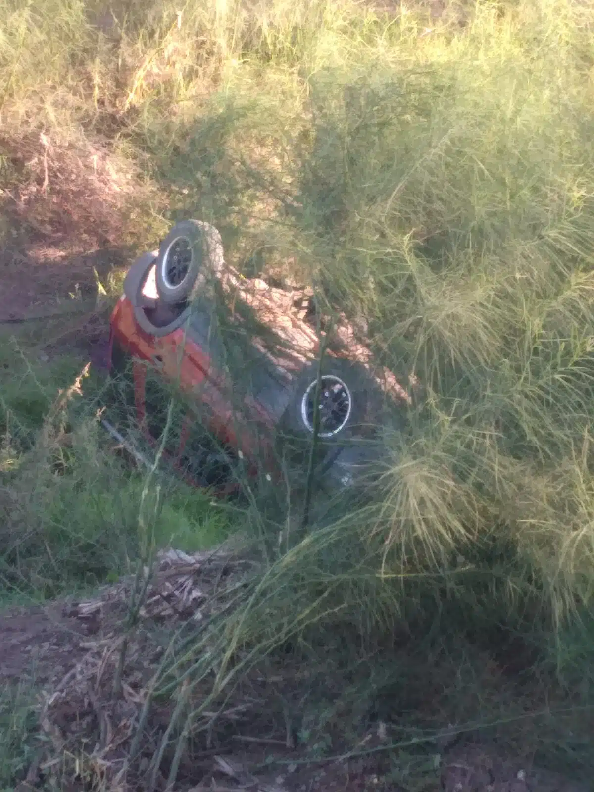 Vagoneta volcada entre la maleza