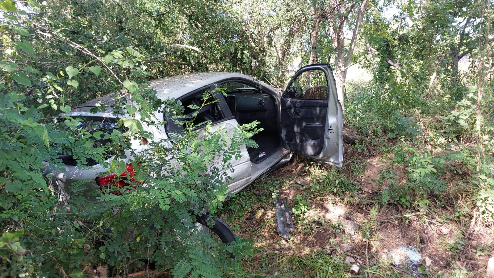 automóvil accidentado entre rama