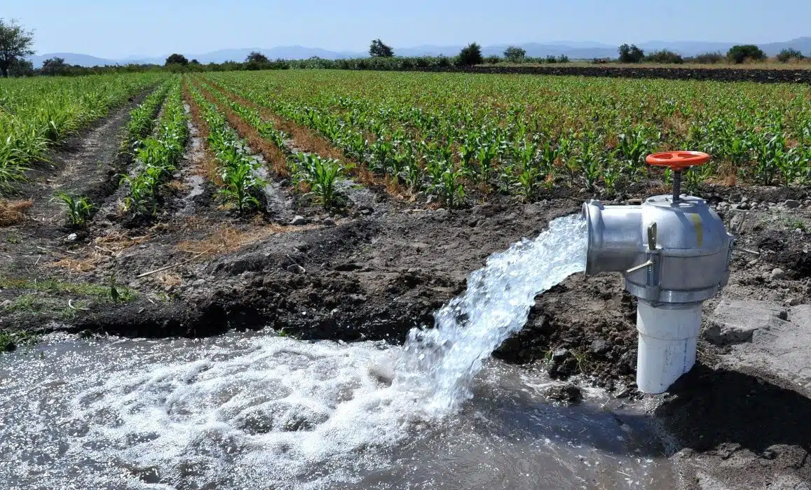 Se encuentra en proceso de revisión las reglas de operación del programa de rescate de aguas para el ciclo agrícola otoño-invierno 2023-2024.