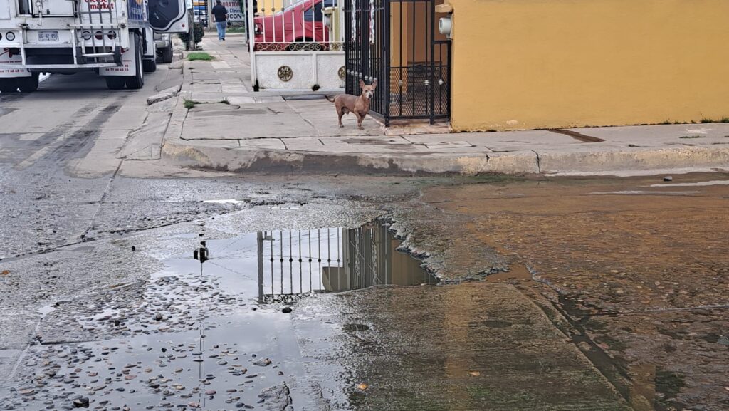 Aguas negras