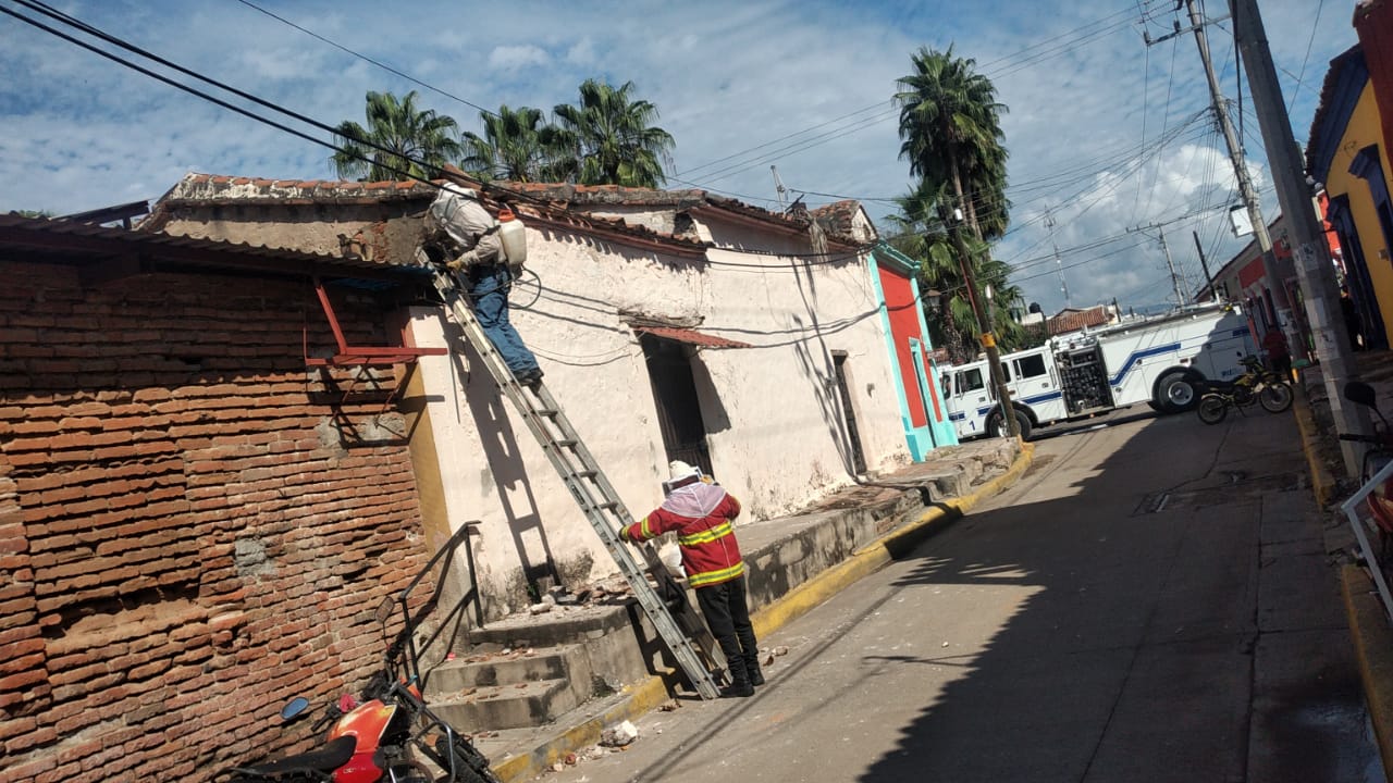 acudió un apicultor para proceder a retirar la colmena que estaba en el interior del techo de la vivienda, tras una pared