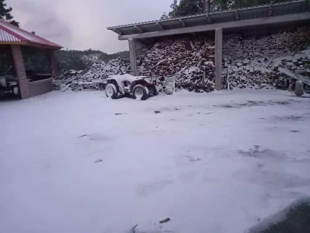 Primera nevada en Badiraguato