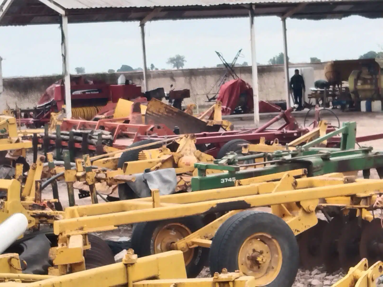 Campo agrícola en Guasave