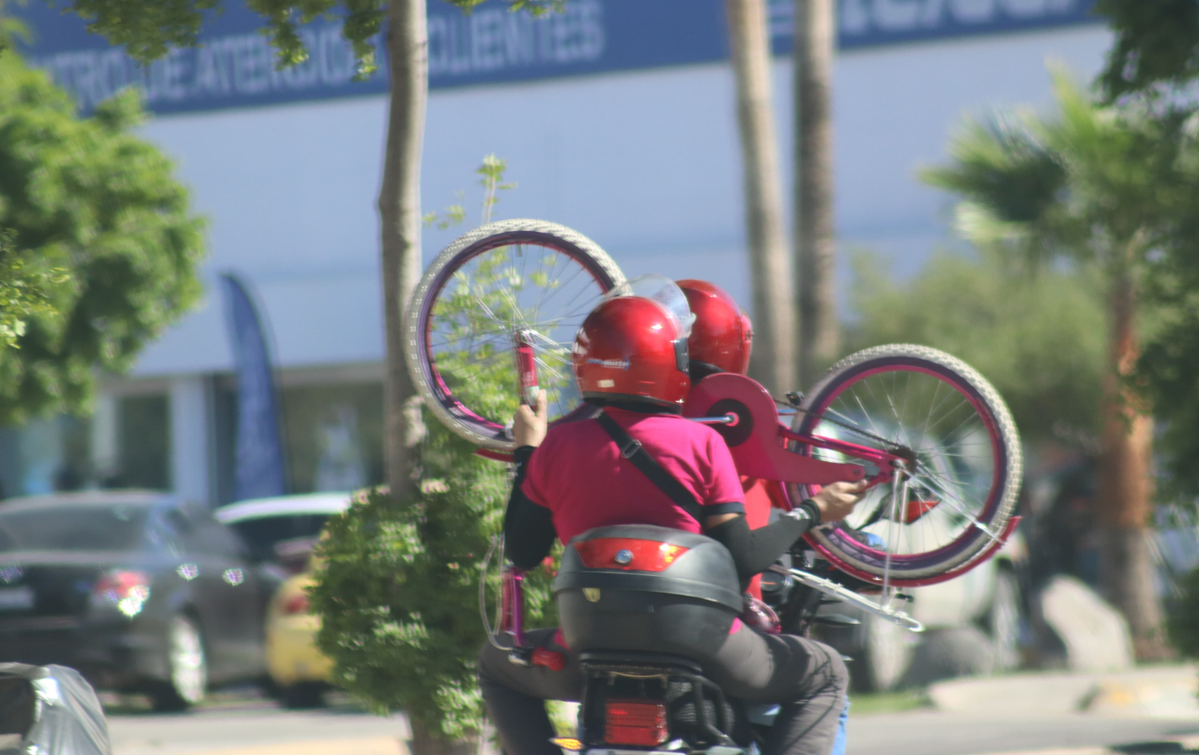 Ciudadanos de Los Mochis aprovechan el 