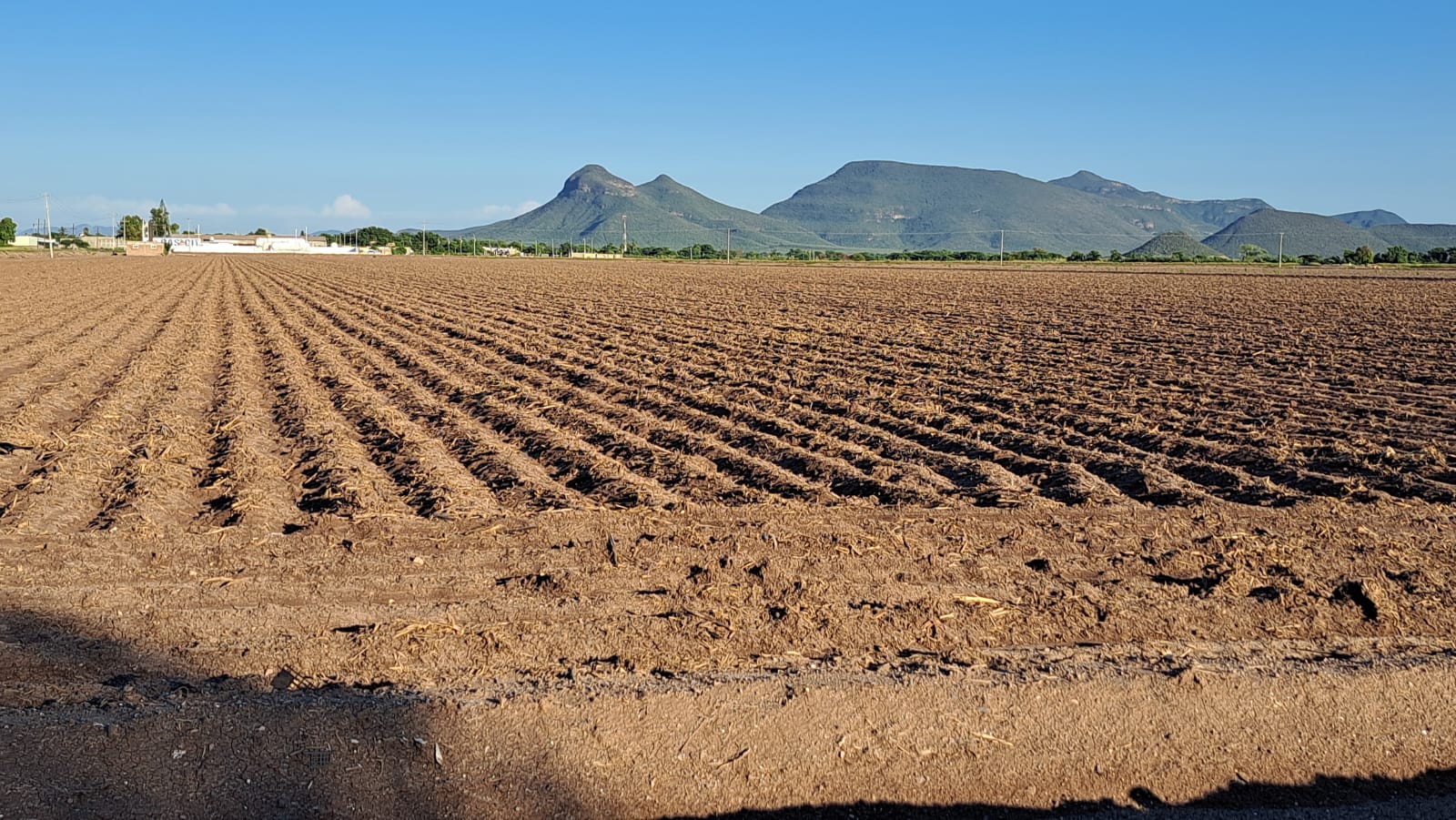 Tierra sin cosecha