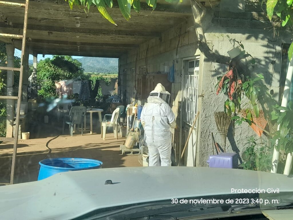 Personal de Protección Civil acudiendo a retirar el panal de abejas