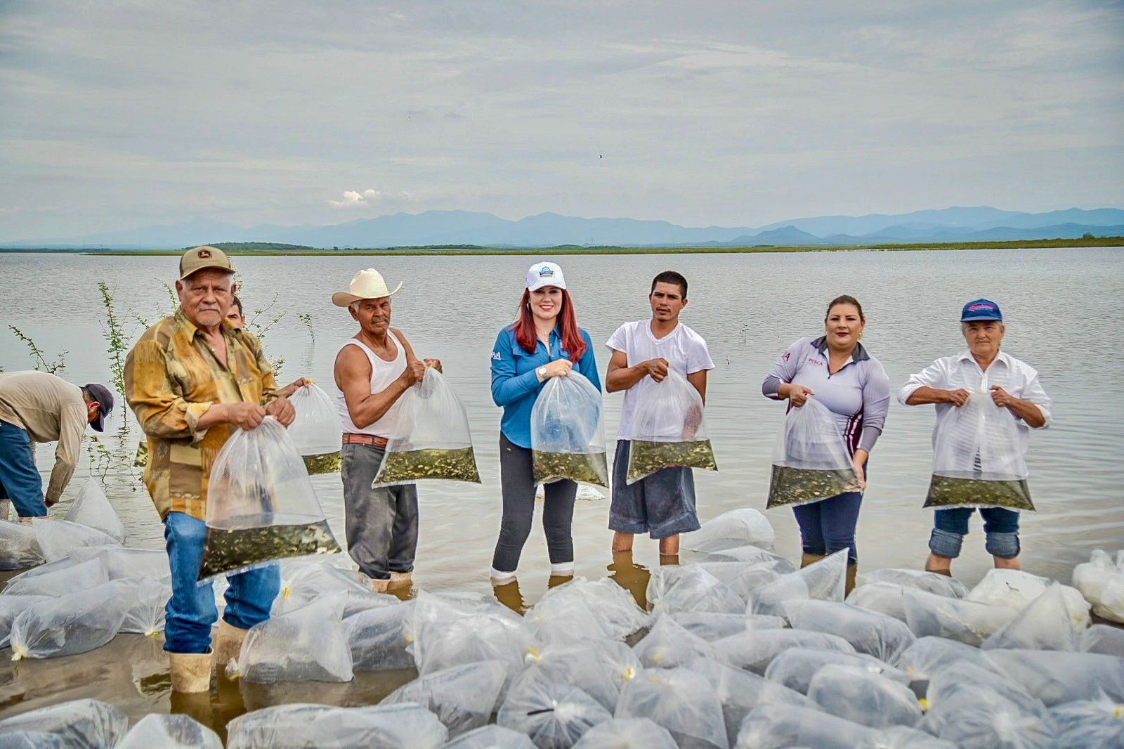 Pescadores con alevines de mojarra tilapia